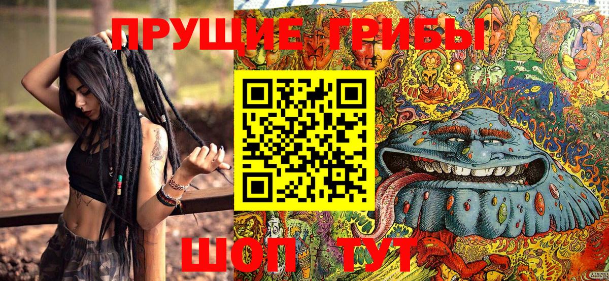 Псилоцибиновые грибы Cubensis Реж